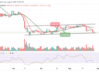 BTC Slumps Below $20,000; TAMA Pushes Up