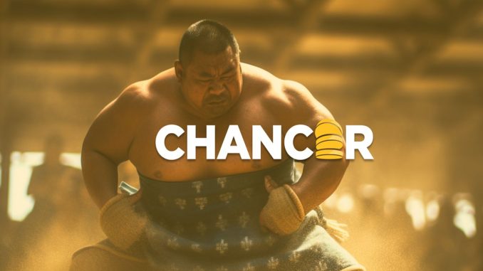 Could Chancer Be A Token Of A Future Growth? Making the Call: Is Chancer a Token to Buy for Future Growth?