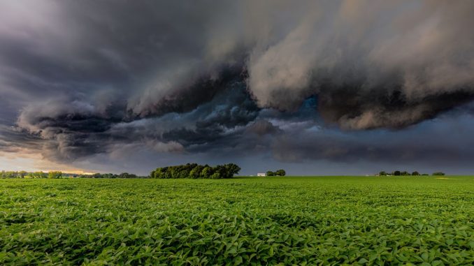 Privacy Mixer Tornado Cash Is an Entity, Judge Says Privacy Mixer Tornado Cash Is an Entity, Judge Says