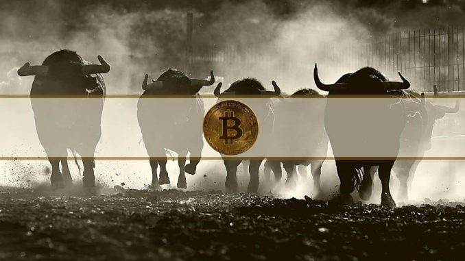 When Will Bitcoin's Bull Run Start? Analyst Chips In When Will Bitcoin's Bull Run Start? Analyst Chips In