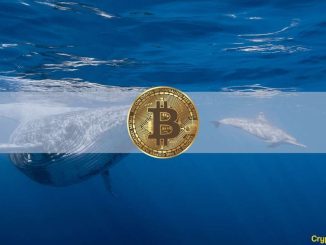 Bitcoin Whale Wakes up After 6 Years to Transfer Over $56M in BTC