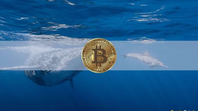 Bitcoin Whale Wakes up After 6 Years to Transfer Over $56M in BTC