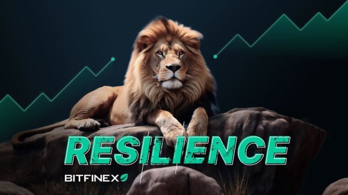 A Game-Changer in the World of Crypto Volatility Bitfinex’s Market Prowess: A Game-Changer in the World of Crypto Volatility