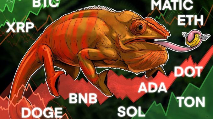 BTC, ETH, BNB, XRP, SOL, ADA, DOGE, TON, DOT, MATIC BTC, ETH, BNB, XRP, SOL, ADA, DOGE, TON, DOT, MATIC