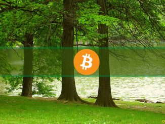 Bitcoin Price Shoots Up to $31K But These 5 Altcoins Are Flying