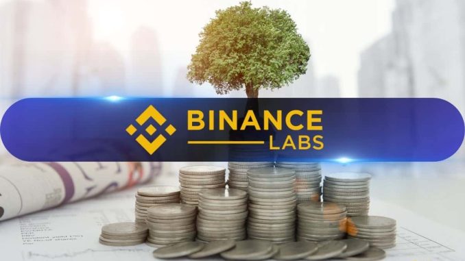 Binance Labs Thrives Amidst Market Challenges with 25 New Investments in 2023