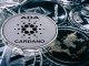 Grayscale drops Cardano (ADA) from its digital large cap fund