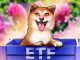 Dogecoin Price Targets $1 and Above as First DOGE ETF is Launched