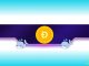 158,000,000 DOGE Bought by Whales – What’s Happening?
