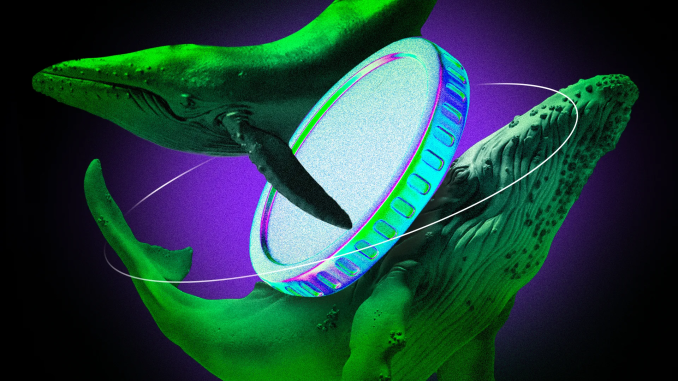 3 Underrated DEX Altcoins Whales Are Quietly Buying For October 3 Underrated DEX Altcoins Whales Are Quietly Buying For October