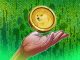 DOGE Price Eyes 160% Rally to $0.65 as RSI Sends Bullish Signal