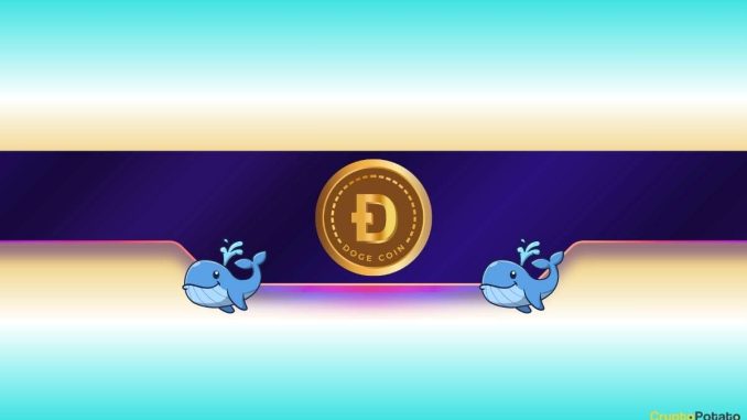 Is Dogecoin Gearing up for Further Rally? Is Dogecoin Gearing up for Further Rally?