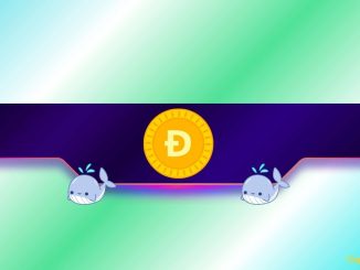 Are Whales Fueling a Rally?