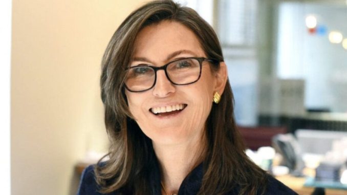 Ark Invest's Cathie Wood Slashes Bitcoin Price Target Over Growing Stablecoin Mania