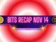 Ripple (XRP) Price Turmoil, Dogecoin (DOGE) Whales Wake up, and More: Bits Recap Nov 14