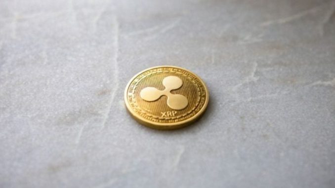 Ripple-backed Evernorth faces $220M drawdown as XRP struggles