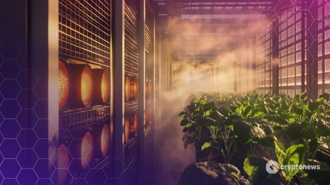 Bitcoin Mining Gets Greener as Canaan Recycles Heat for Agriculture