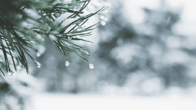 Crypto Trading Activity Hits Yearly Lows as Holiday Lull Freezes Markets