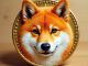 Dogecoin DOGE