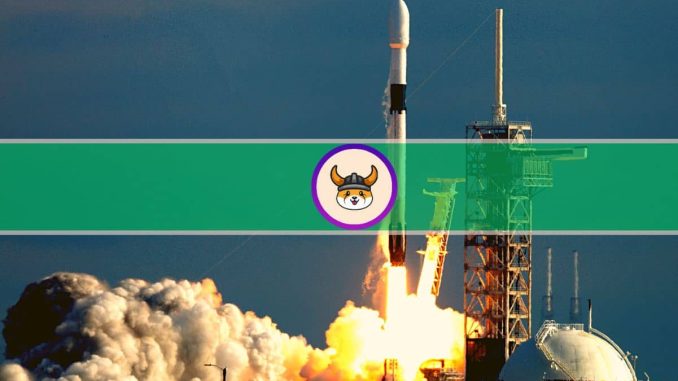 Whales Can't Get Enough of Meme Coins as FLOKI Explodes 950%