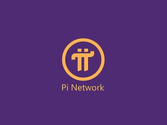 Pi Network mainnet turns one