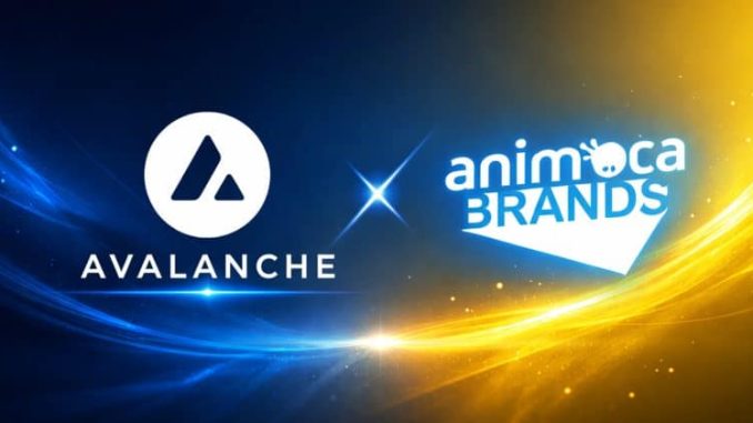 Avalanche gains Animoca Brands backing in push across Asia and the Middle East