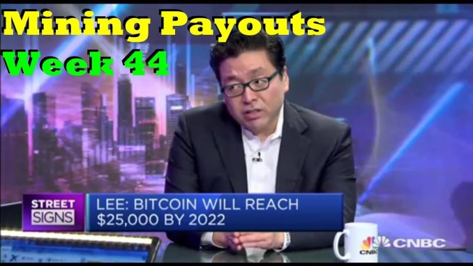 Week 44 | Mining Payouts 11/18/19