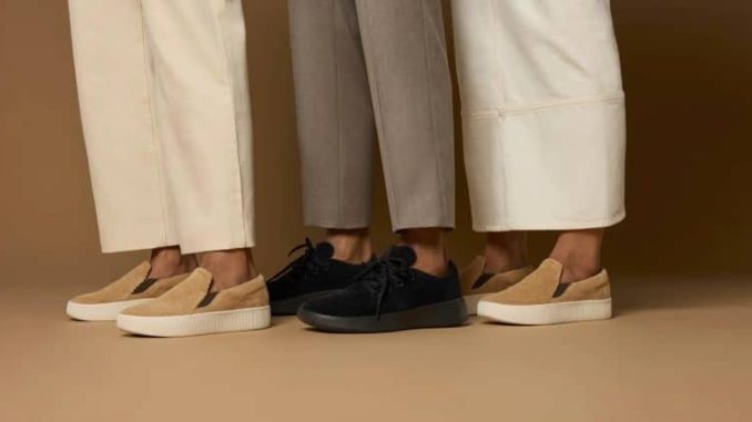 Allbirds stock moons 800% as it swaps sneakers for AI cloud