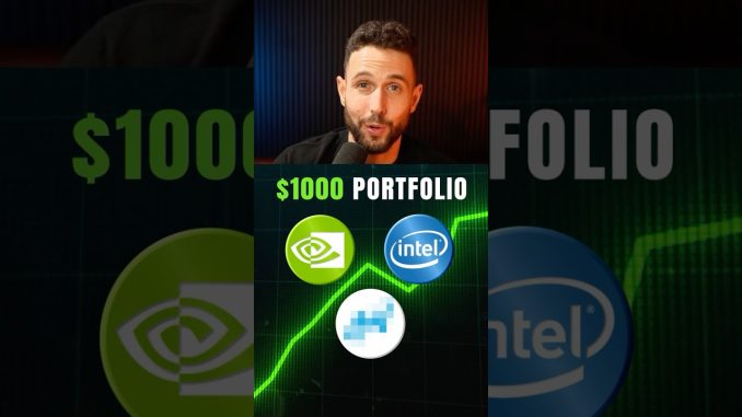 Best $1000 Stock Portfolio 📈