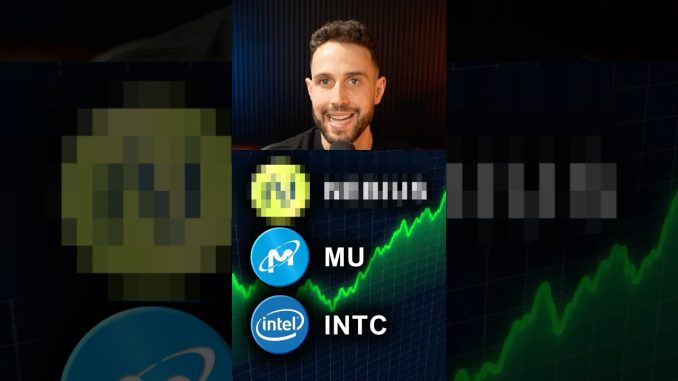 Memory Stocks to BUY During The Dip