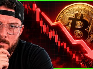 🚨 Bitcoin Falls Below $80,000... Is a BIGGER CRASH Coming?